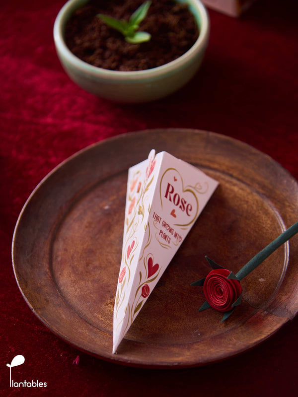 Plantable Rose in a Box