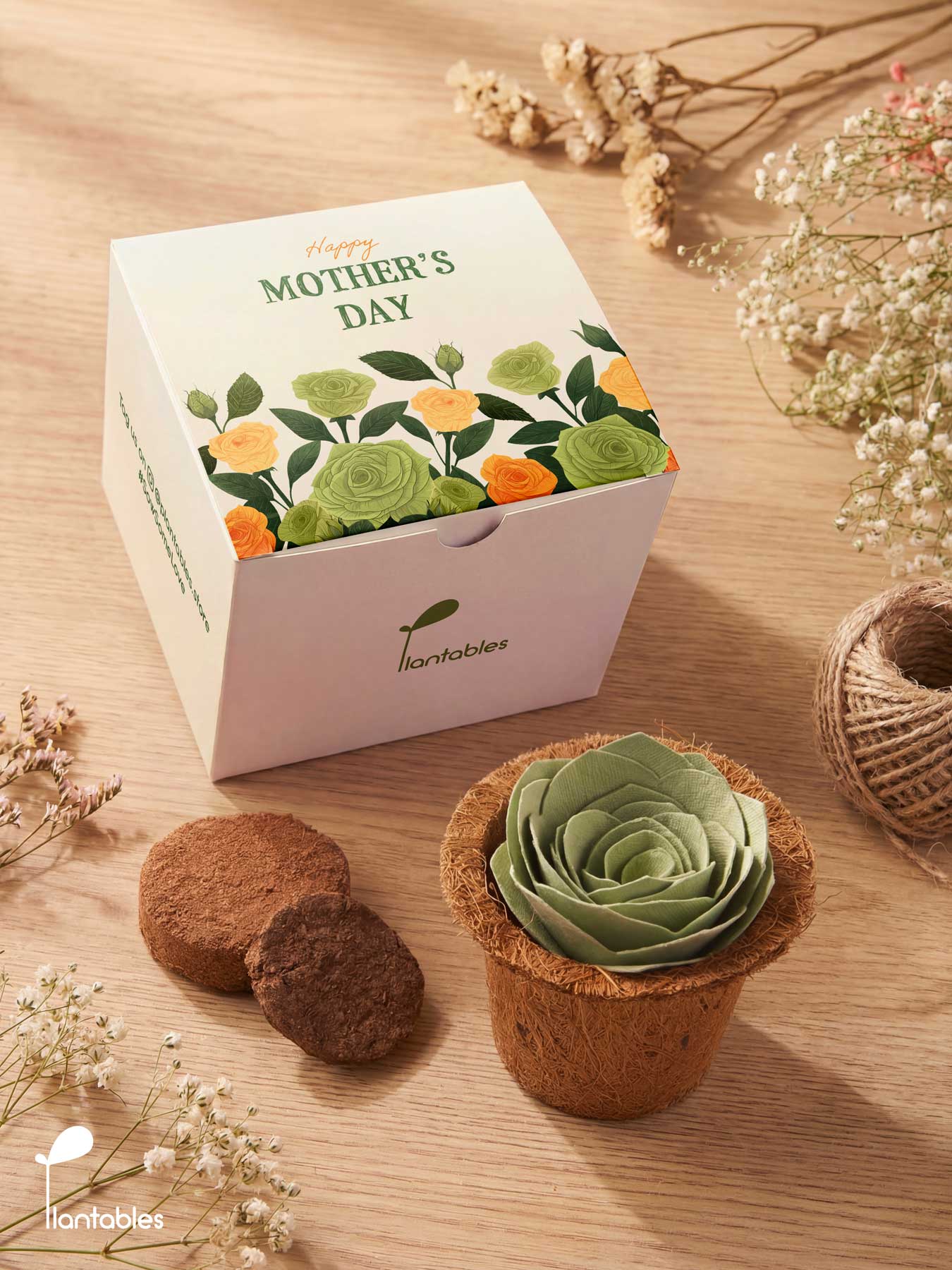 Mother's Day Green Rose Grow Kit