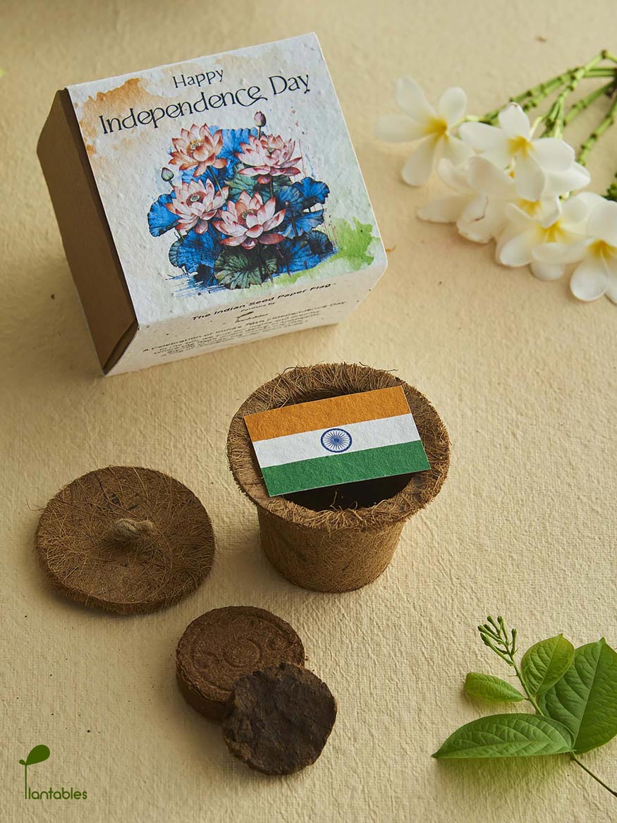 Plantable Indian Flag Grow Kit: Independence Day Special