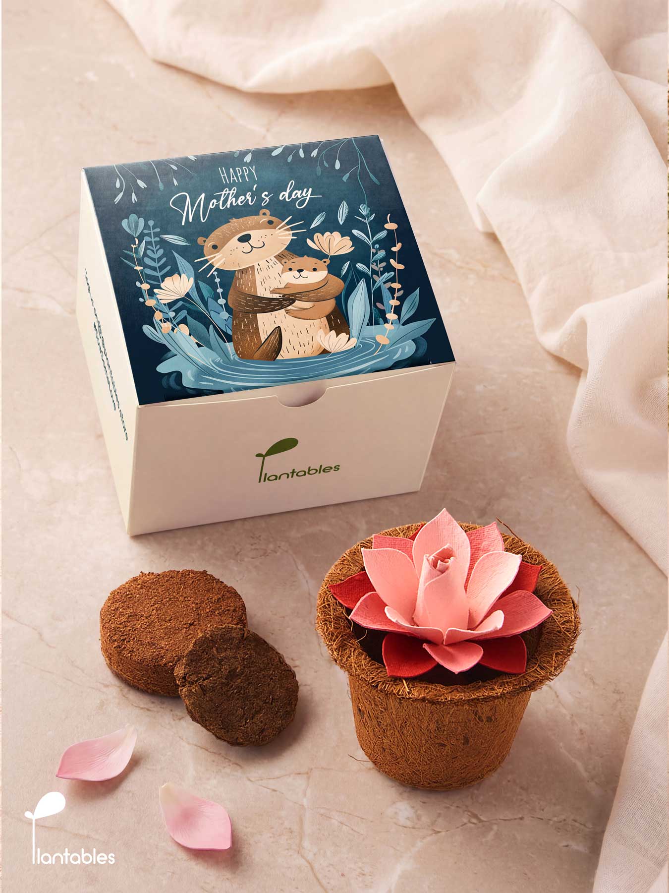 Mother's Day Lotus Grow Kit