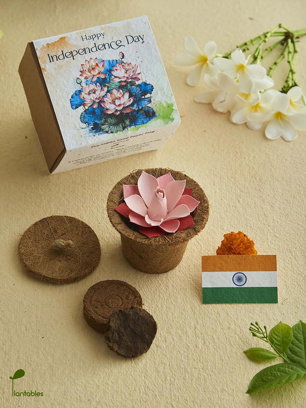 Plantable Lotus Grow Kit: Independence Day Special