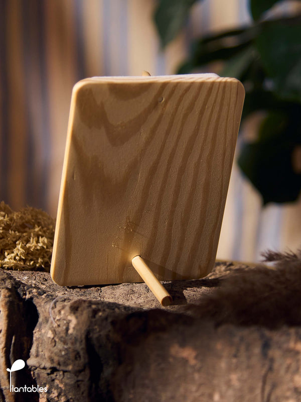 Planet Positive Calendar 2026