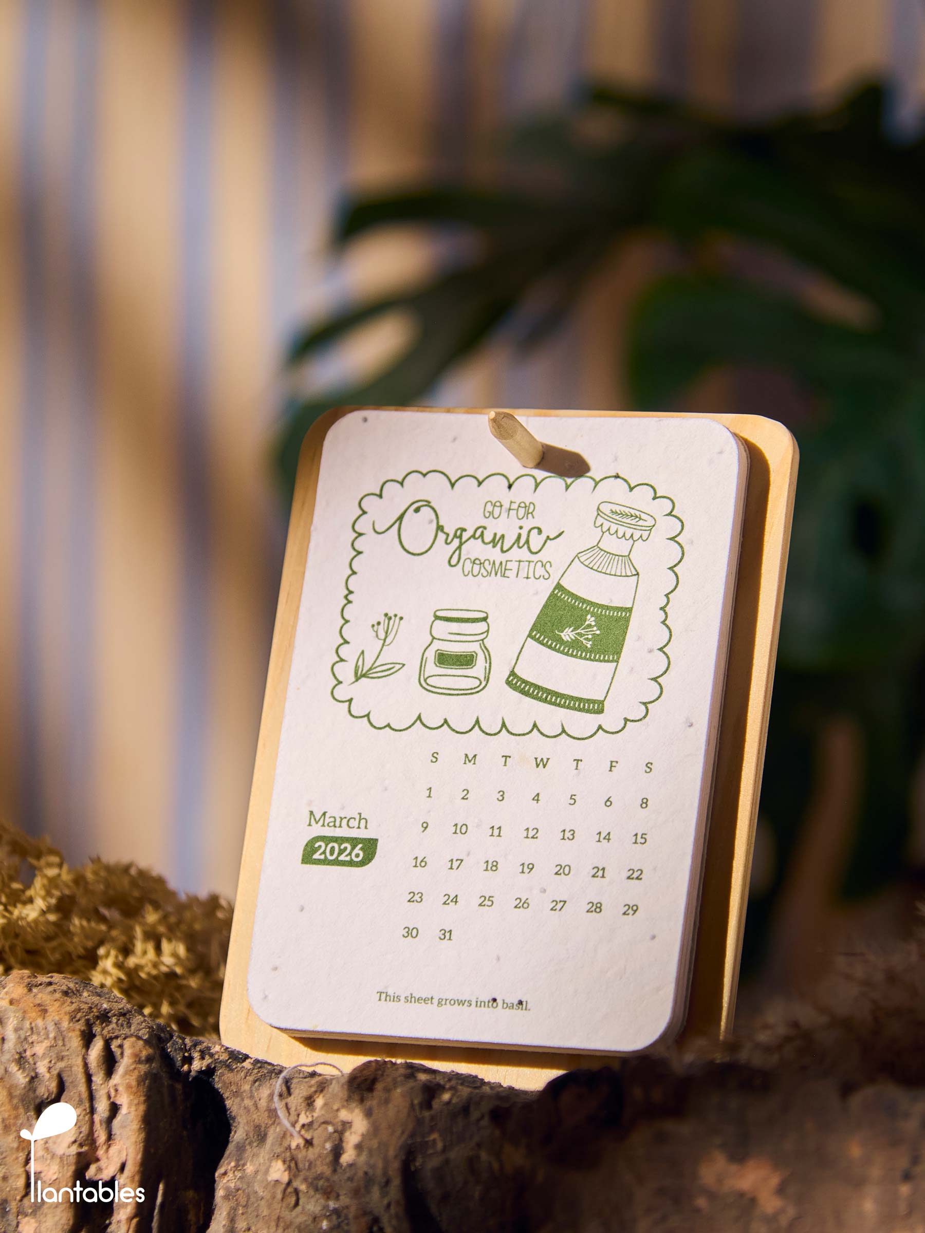 Planet Positive Calendar 2026