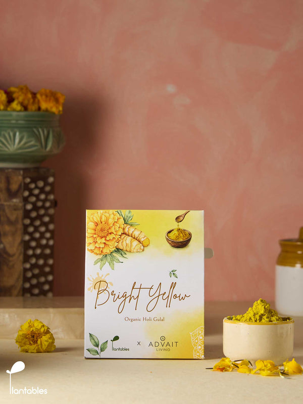 Rangrez | Bright Yellow Gulal