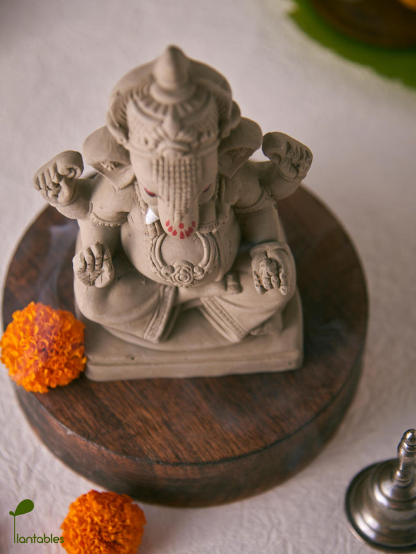 Taruna: The Green Thumb of Youth | Plantable Clay Ganesha | 5 inches