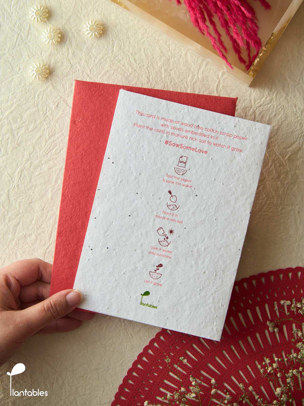 Love Birds Valentine Card