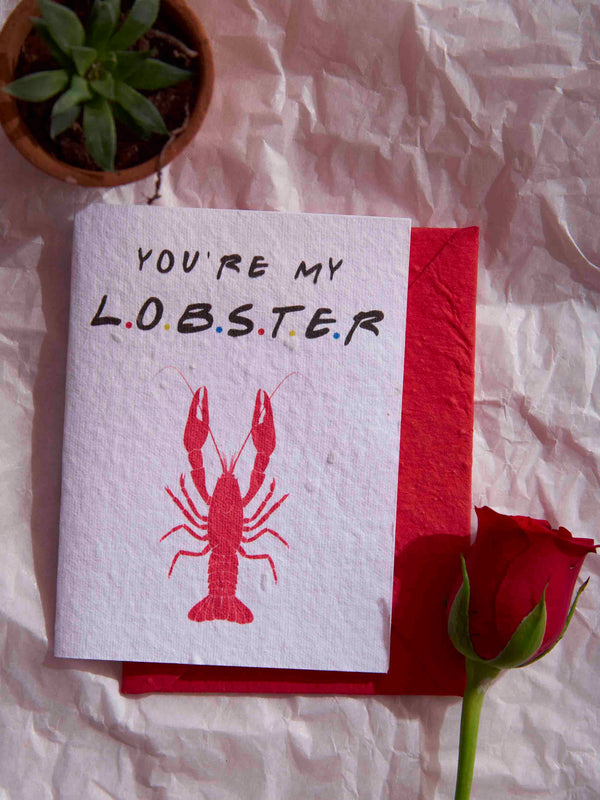 Lobsters!